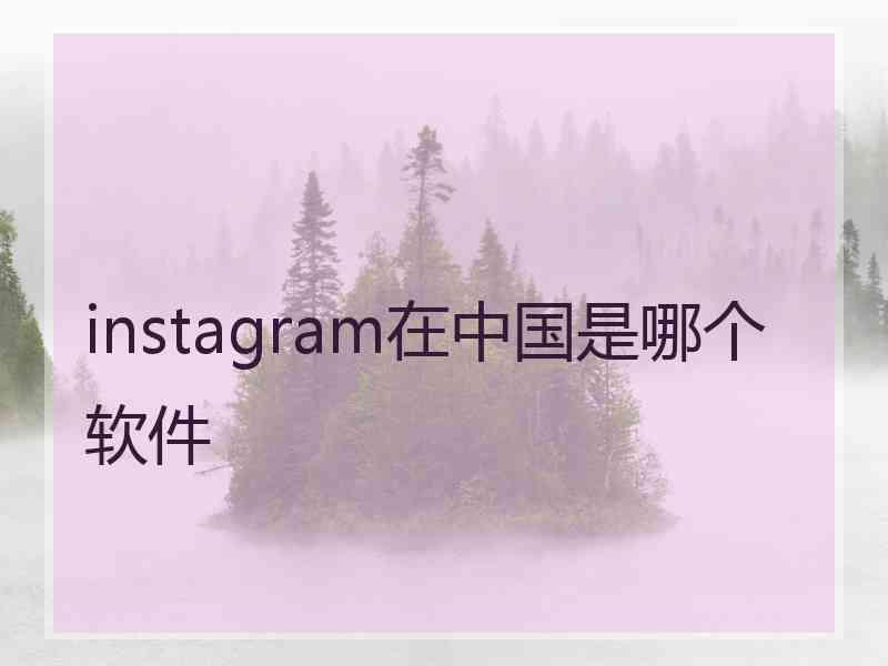 instagram在中国是哪个软件