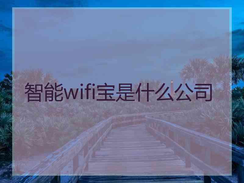 智能wifi宝是什么公司