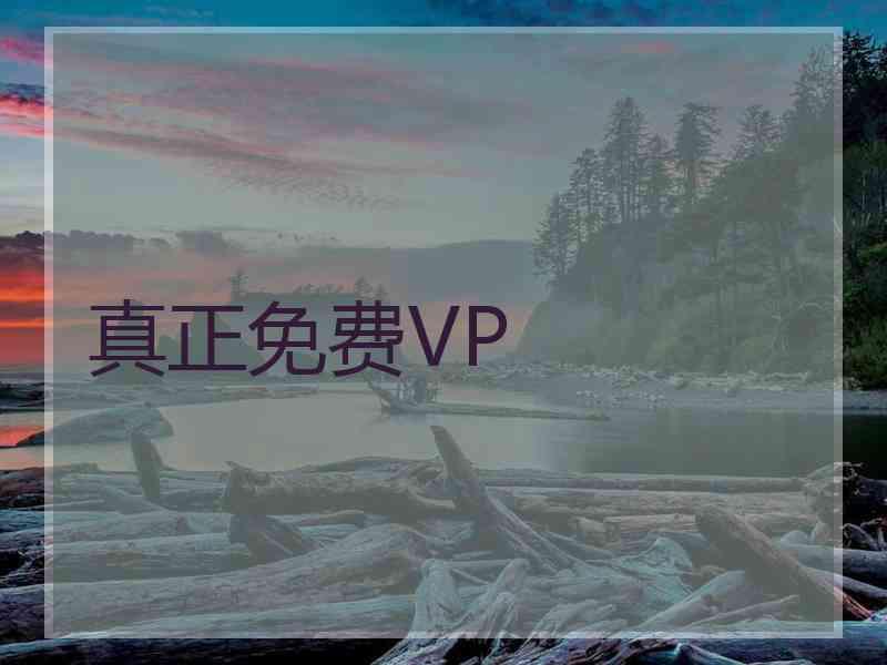 真正免费VP