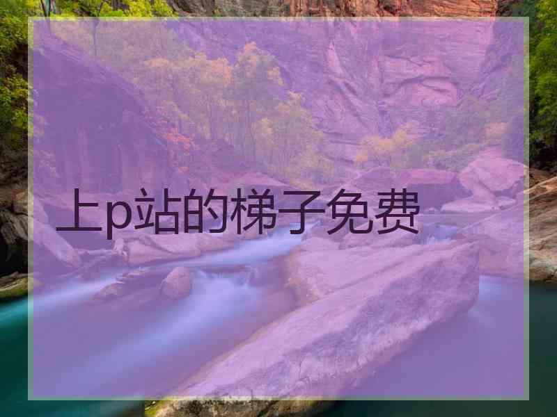 上p站的梯子免费