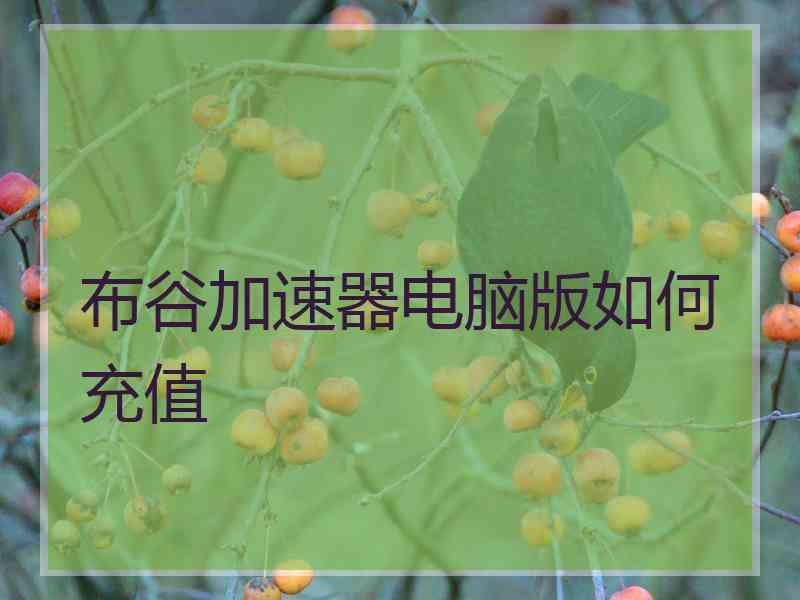 布谷加速器电脑版如何充值