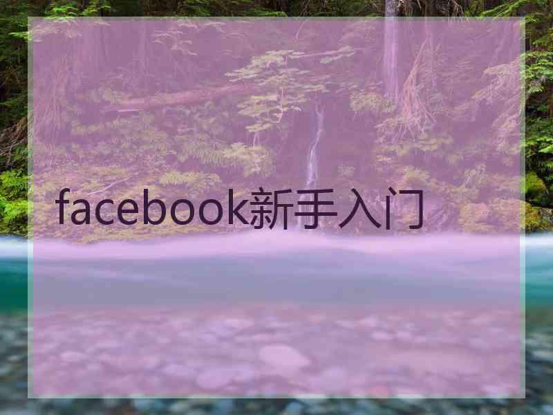 facebook新手入门