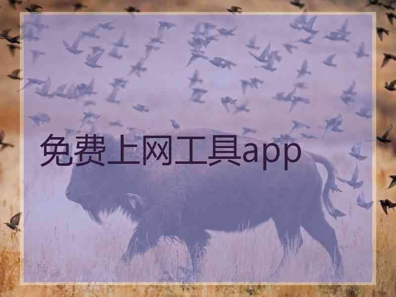 免费上网工具app