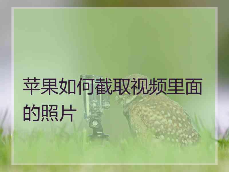 苹果如何截取视频里面的照片