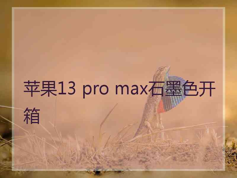 苹果13 pro max石墨色开箱