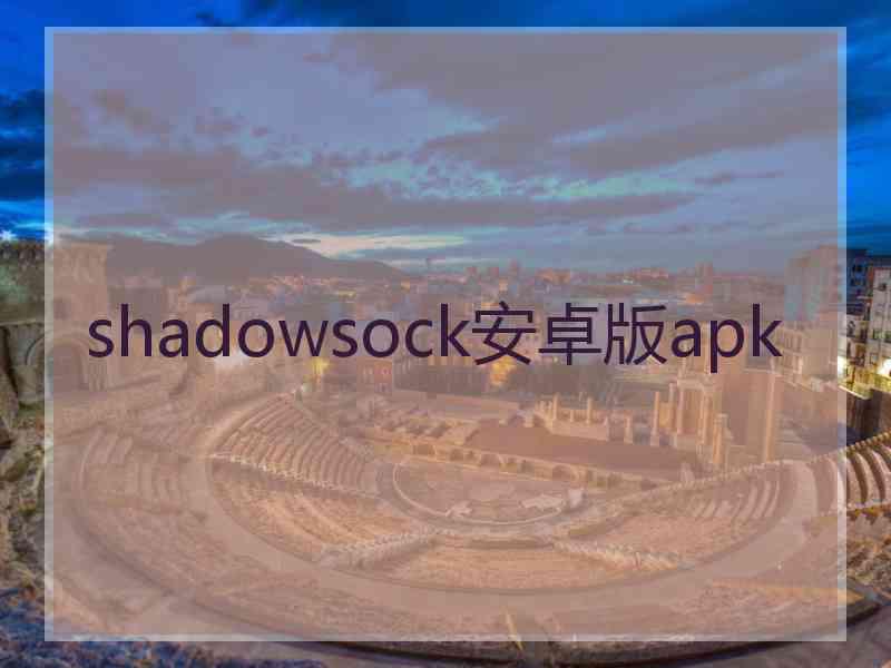 shadowsock安卓版apk