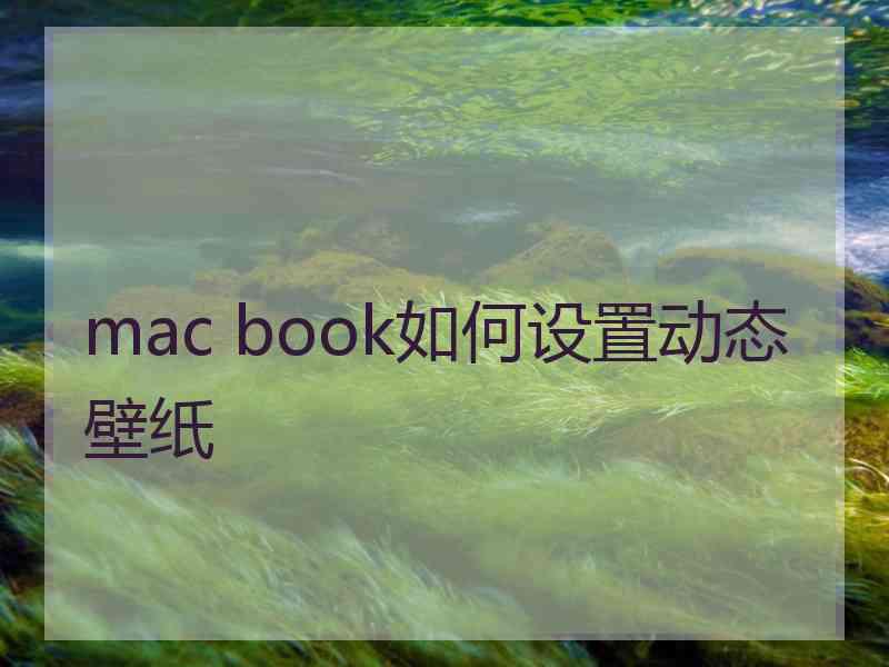 mac book如何设置动态壁纸