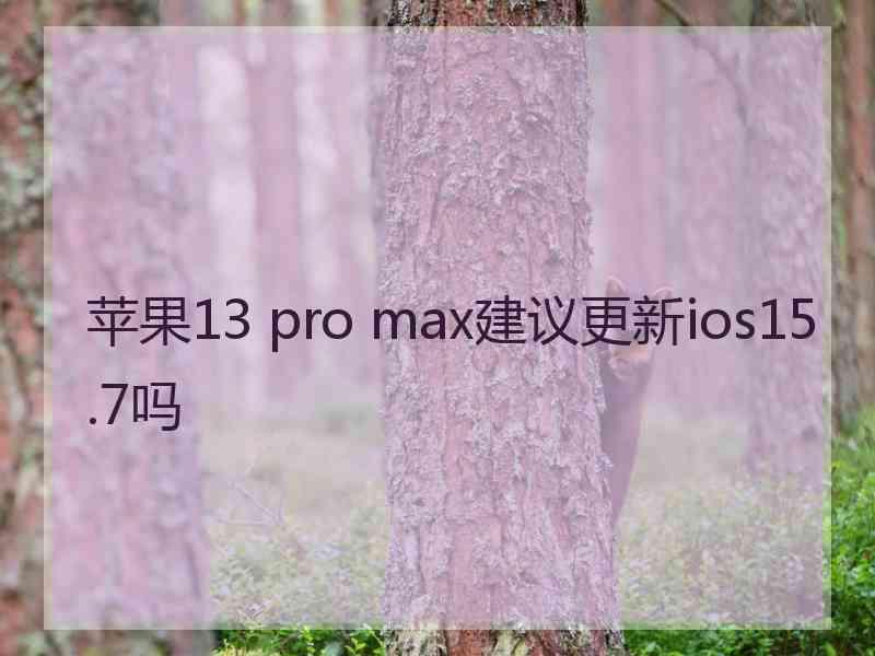 苹果13 pro max建议更新ios15.7吗