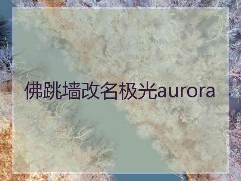 佛跳墙改名极光aurora