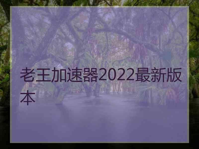 老王加速器2022最新版本