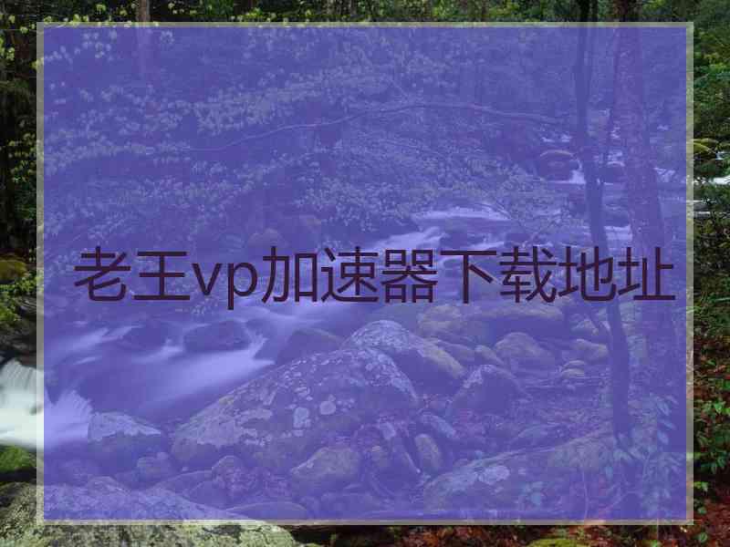 老王vp加速器下载地址