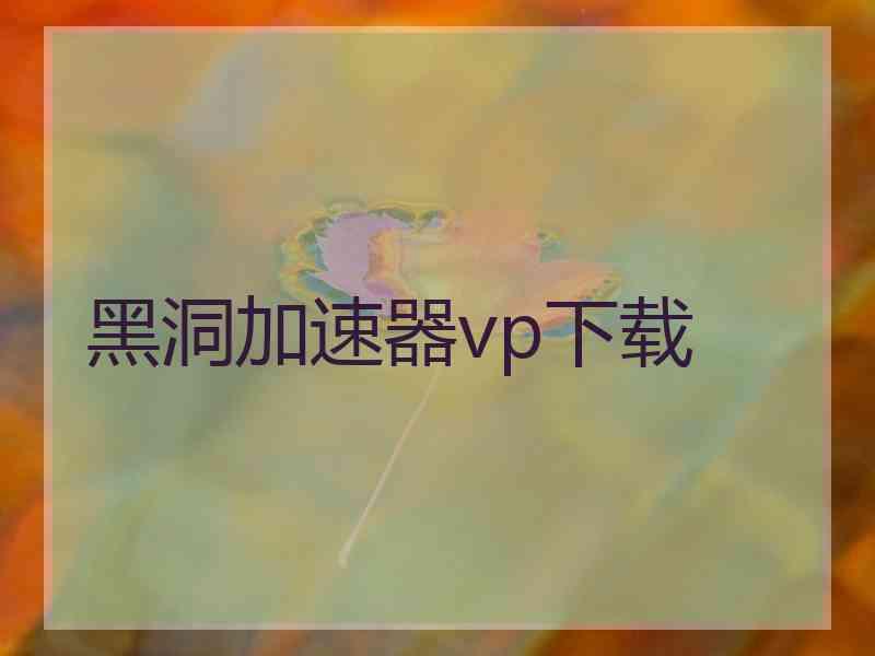 黑洞加速器vp下载