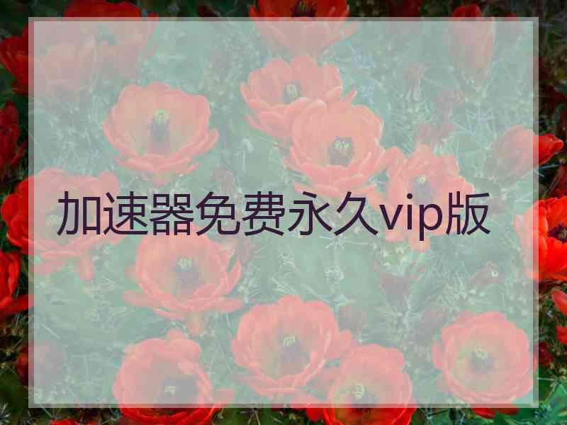 加速器免费永久vip版