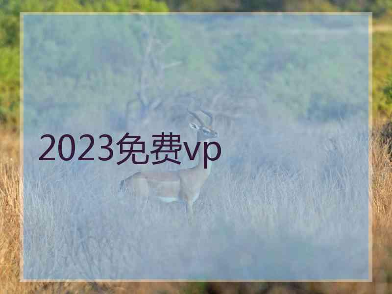 2023免费vp