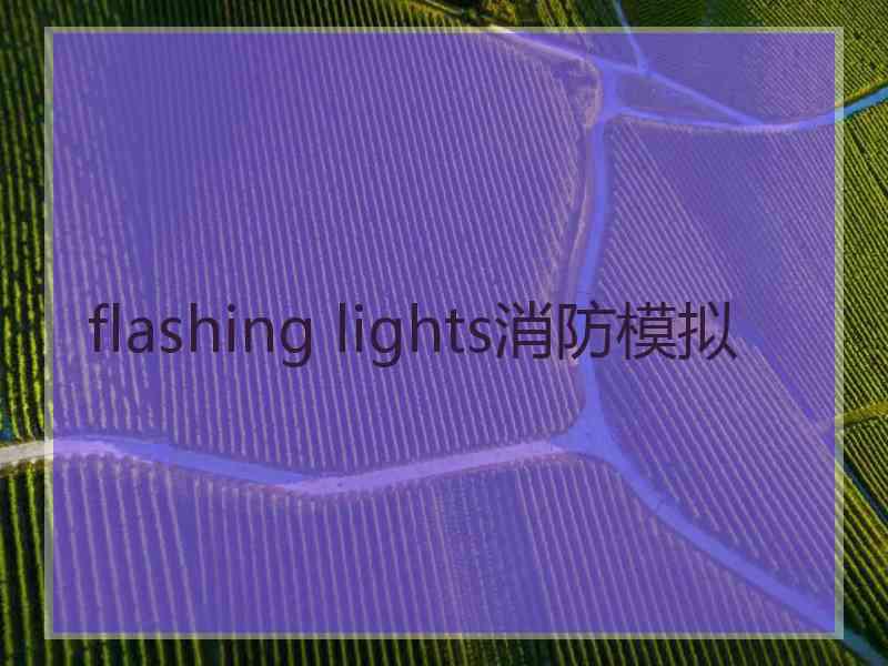 flashing lights消防模拟