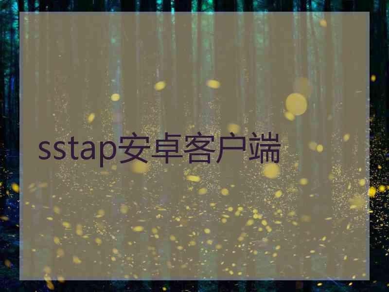 sstap安卓客户端