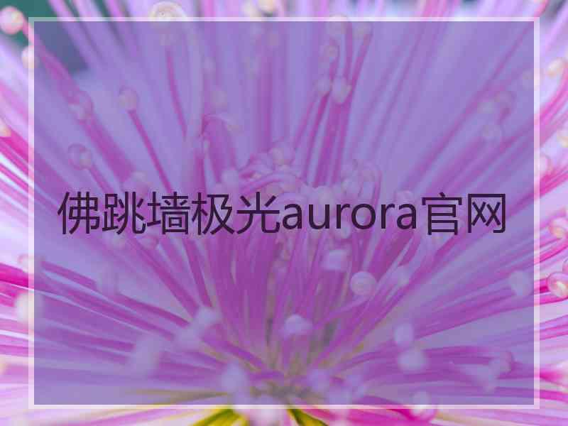 佛跳墙极光aurora官网