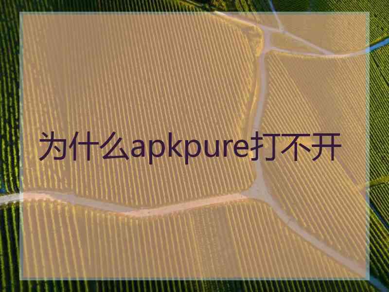 为什么apkpure打不开