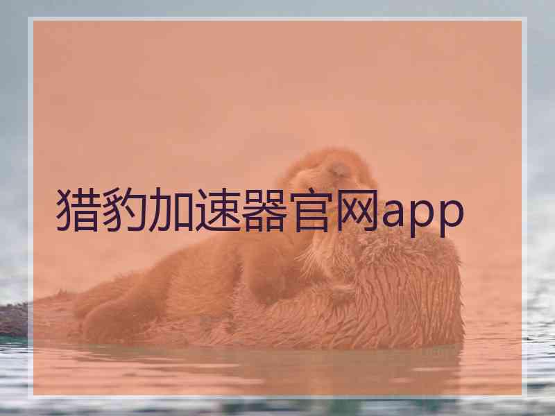 猎豹加速器官网app