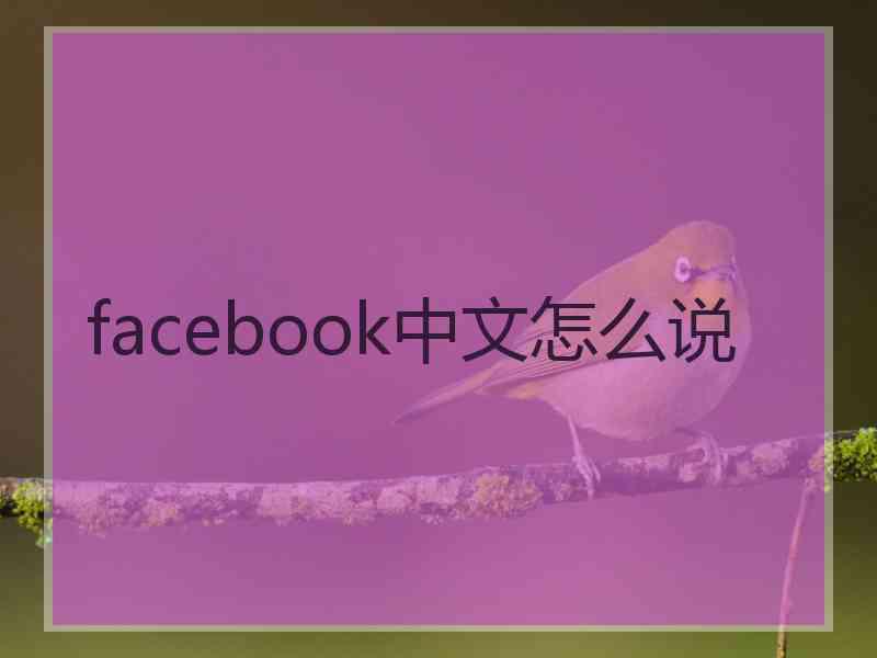 facebook中文怎么说