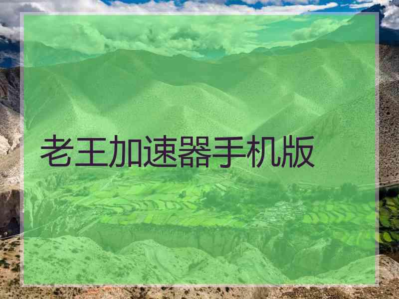 老王加速器手机版