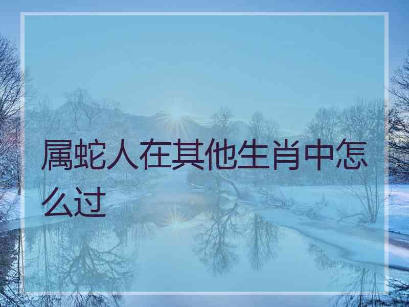 属蛇人在其他生肖中怎么过