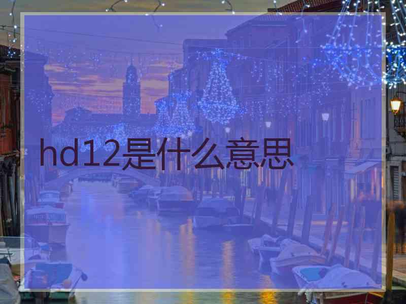 hd12是什么意思