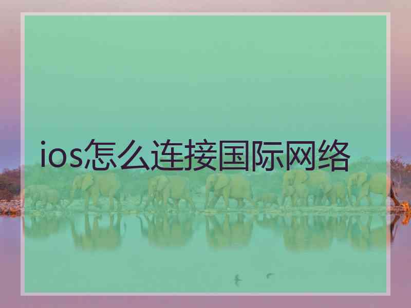 ios怎么连接国际网络