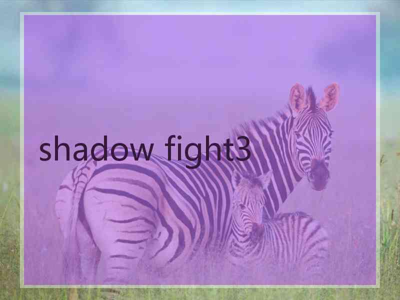 shadow fight3