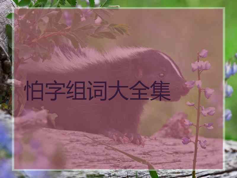 怕字组词大全集