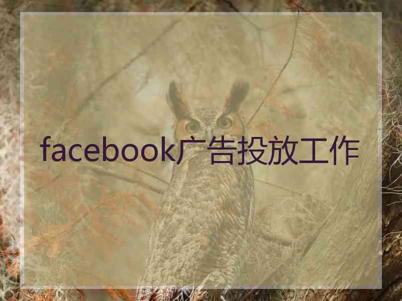 facebook广告投放工作