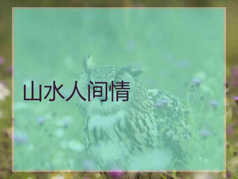 山水人间情