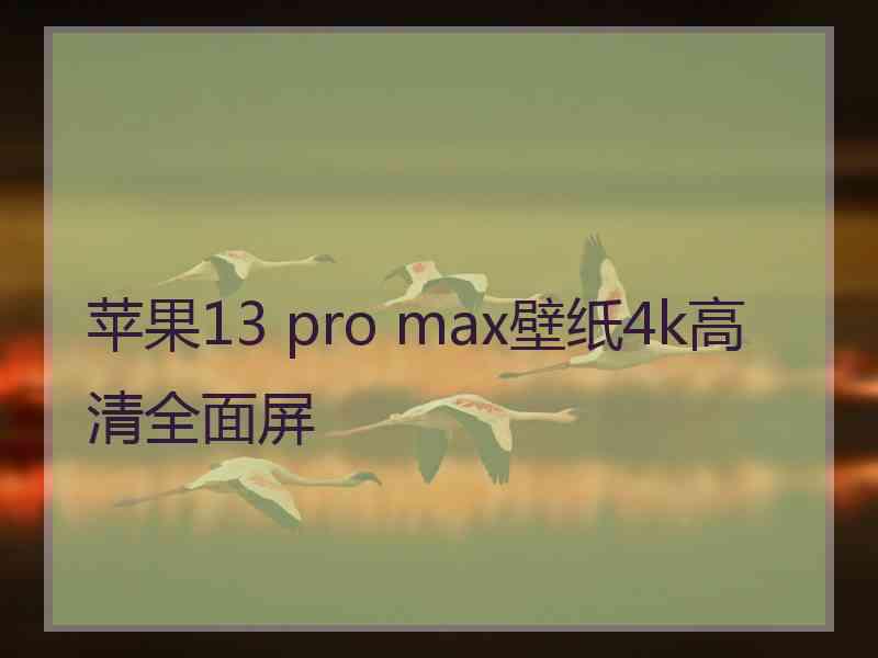 苹果13 pro max壁纸4k高清全面屏