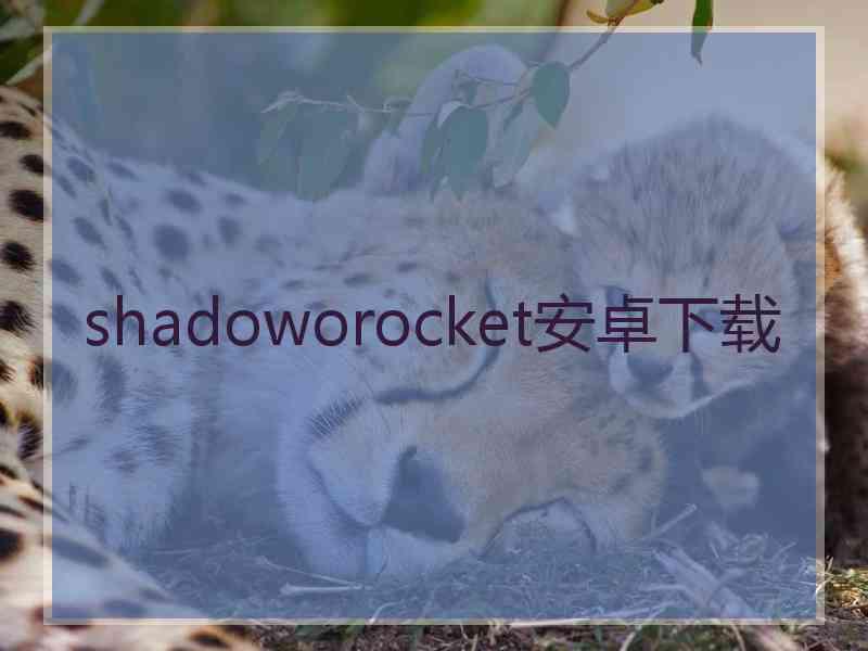 shadoworocket安卓下载