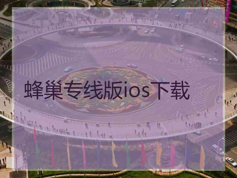 蜂巢专线版ios下载