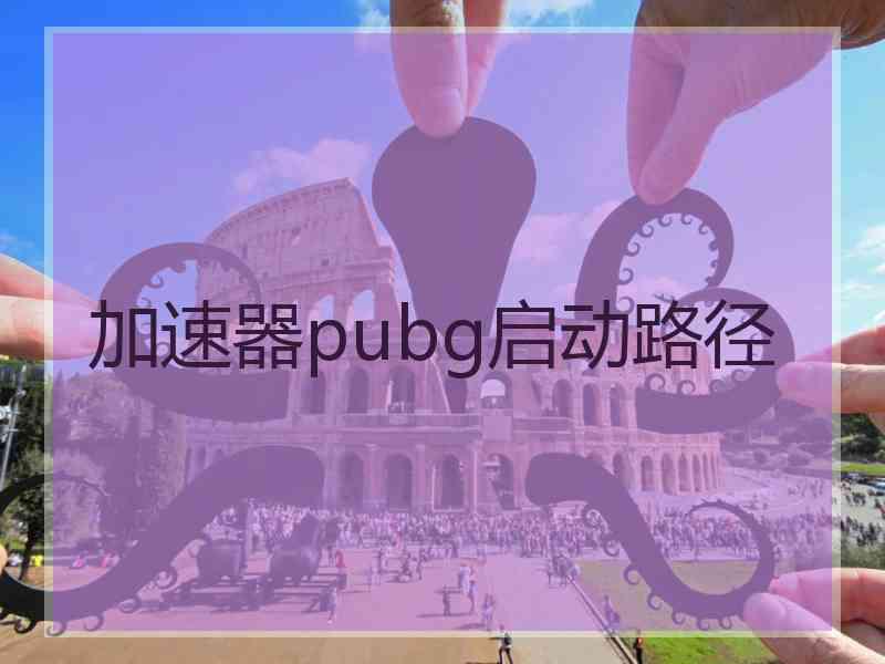 加速器pubg启动路径