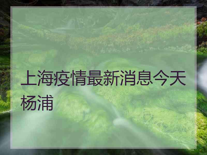 上海疫情最新消息今天杨浦