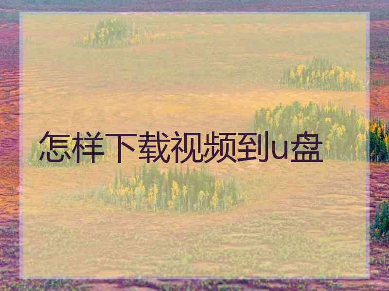 怎样下载视频到u盘