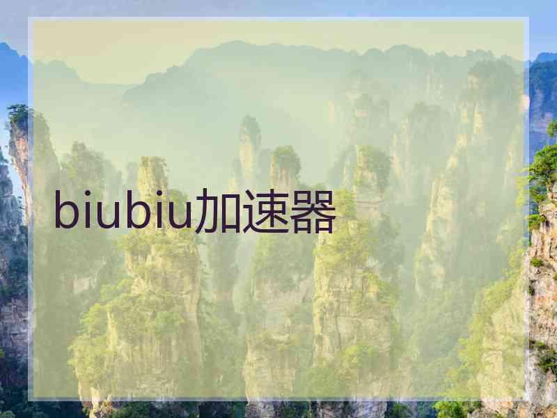 biubiu加速器