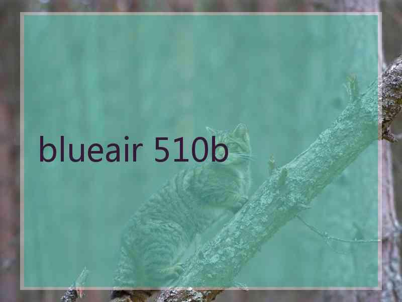 blueair 510b