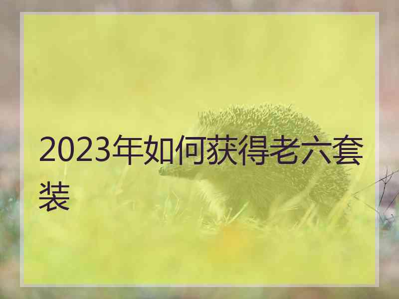 2023年如何获得老六套装