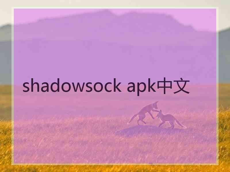 shadowsock apk中文