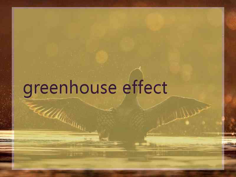 greenhouse effect