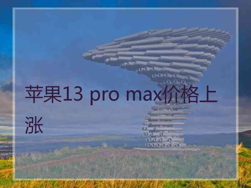 苹果13 pro max价格上涨