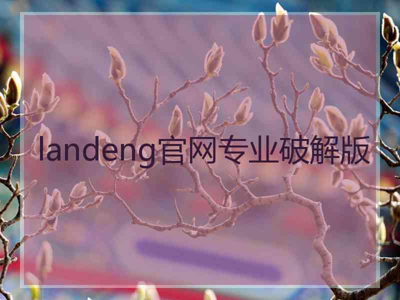 landeng官网专业破解版