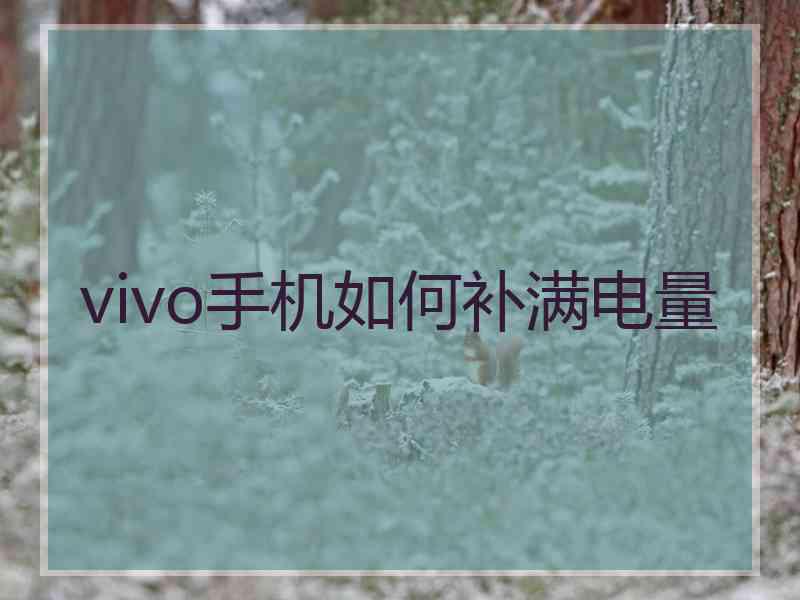 vivo手机如何补满电量