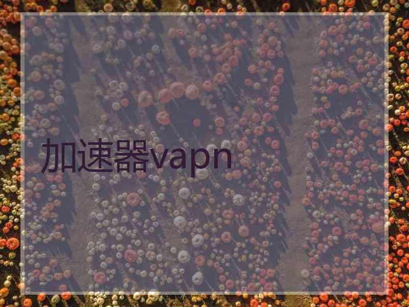 加速器vapn