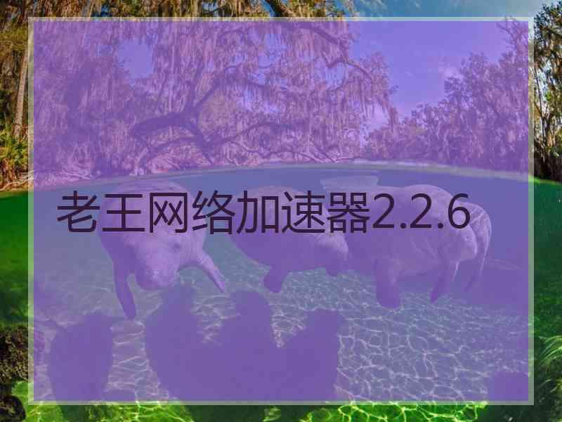 老王网络加速器2.2.6