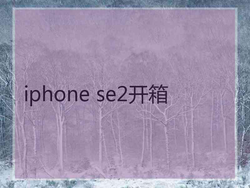 iphone se2开箱