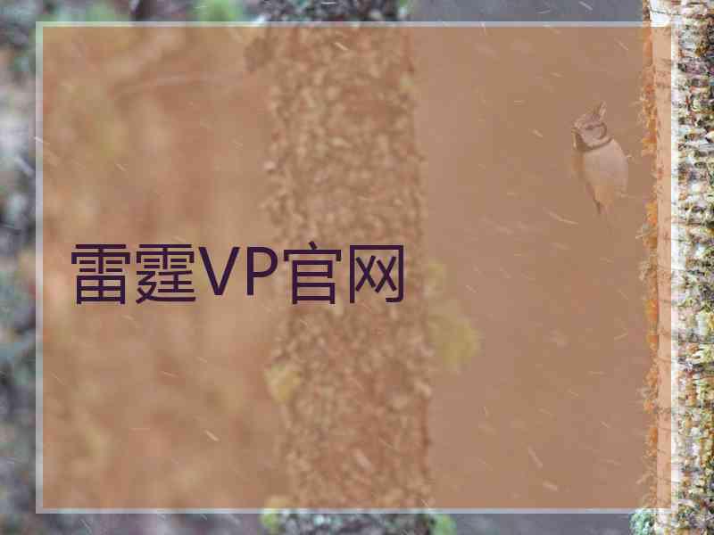 雷霆VP官网